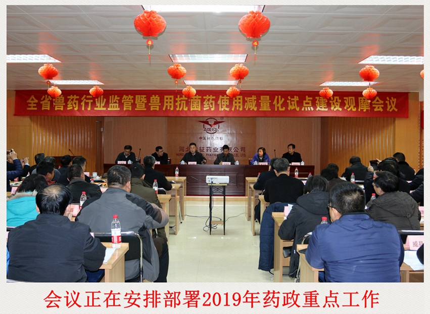 行業(yè)監(jiān)管試點觀摩 遠征“減抗”積極響應(yīng)